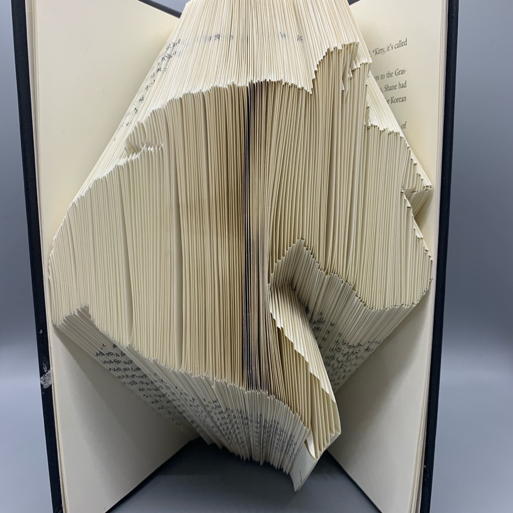Custom Book Art - Picture 2 of 2